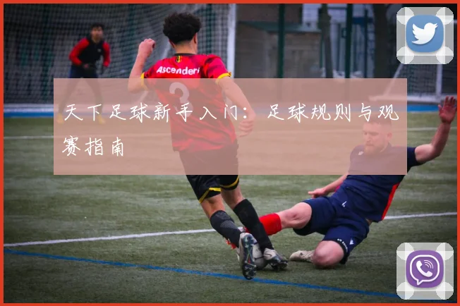 天下足球新手入门：足球规则与观赛指南