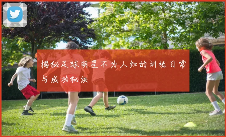 揭秘足球明星不为人知的训练日常与成功秘诀